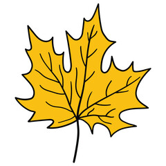 Obraz premium Hand drawn cartoon yellow autumn maple leaf on white background.