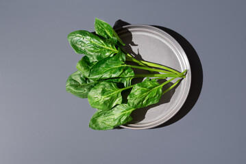 Hojas de espinacas frescas sobre un plato gris sobre fondo gris. Vista superior	