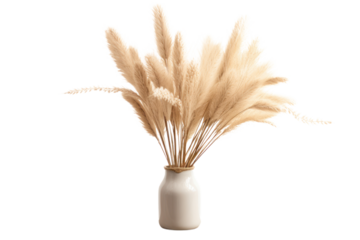 A rustic arrangement of dried pampas grass, isolated on a white background.
