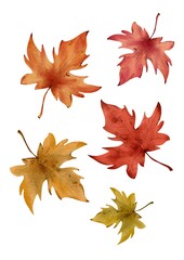 Autumn set, Autumn illustration, Fall set, Fall  illustrations, Autumn leaves collection, Fall leaves collection, Autumn stickers, Fall stickers