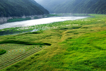 The beautiful green field on summer.  © Chongbum Thomas Park