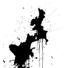 Contemporary Ink Brushwork on Clean White Surface