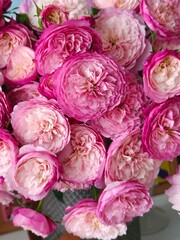 Obraz premium pink rose bouquet against simple light background