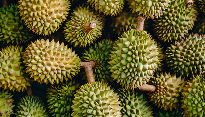 Fresh durian fruit at the market in large quantities. Background texture of durians. King of fruit