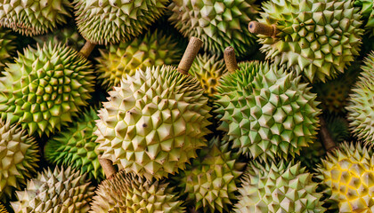 Fototapeta premium Fresh durian fruit at the market in large quantities. Background texture of durians. King of fruit