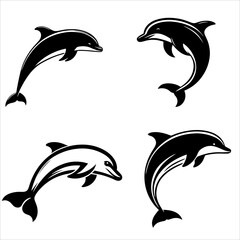 silhouette of dolphin on clean vector isolated on white background 