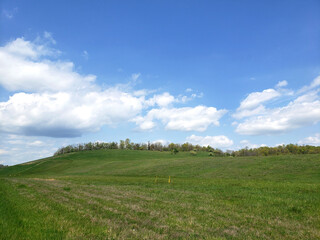 field and blue sky