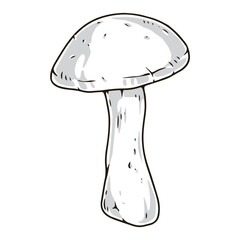 Forest mushroom monochrome detailed logotype