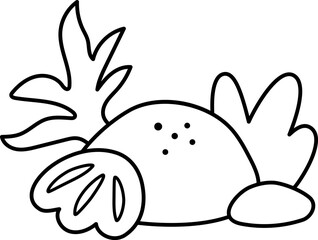 Vector black and white marine composition with rock, seaweeds, seashell, sea plants, sand. Mermaid land concept. Ocean or sea life line nature decoration, coloring page