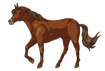 Energetic horse colorful detailed element