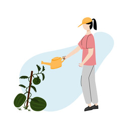 Illustration character of girl watering watermelon plants