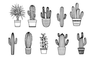 Fototapeta premium hand drawn cactus collection illustration