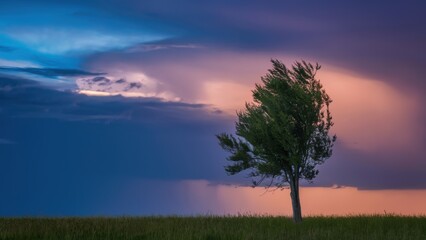 Obraz premium A lone tree in a field with colorful clouds behind it, AI