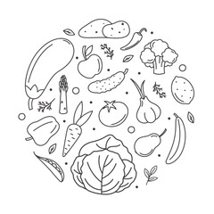 healthy food doodle