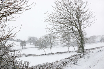 Fields in the snow after a winter storm	