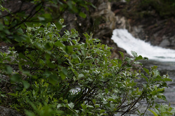 North of Sweden. Some pictures were taken in Norway, but it is just as nice as in northern Sweden. The air, the trees, the water, everything is absolutely stunning.