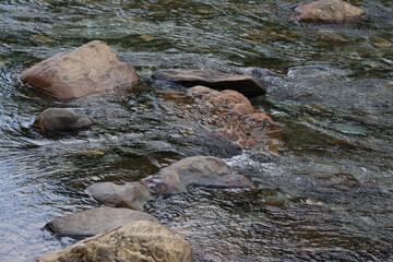 North of Sweden. Some pictures were taken in Norway, but it is just as nice as in northern Sweden. The air, the trees, the water, everything is absolutely stunning.