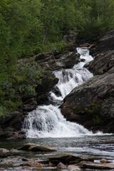 Naklejka premium North of Sweden. Some pictures were taken in Norway, but it is just as nice as in northern Sweden. The air, the trees, the water, everything is absolutely stunning.