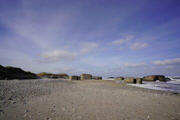 Vigs&oslash; Battery