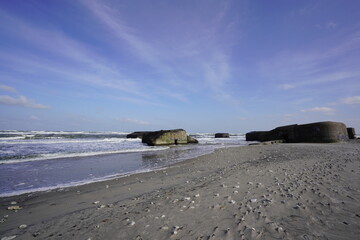 Vigs&oslash; Battery