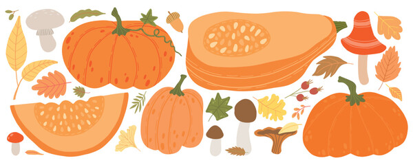 Autumn-themed illustration featuring various pumpkins, squash, mushrooms, and colorful fall leaves. Perfect for seasonal designs, Thanksgiving, Halloween decorations, and harvest festival graphics.