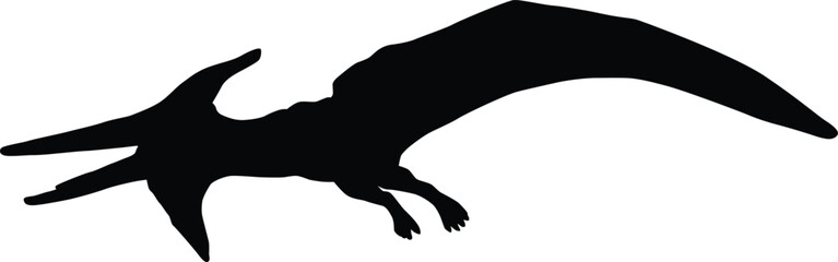 Dinosaur silhouette full body illustration © Budypiasa