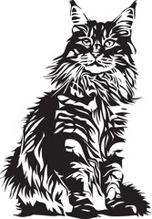 black and white maine coon cat illustration