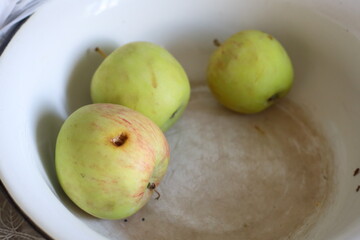 Fresh green apples arranged in a white ceramic bowl on a table, ready for eating or decoration.