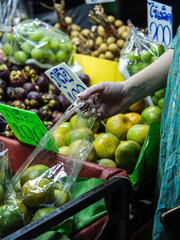 Hand Picking Green Oranges at a Thai Market