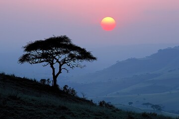 A Silhouetted Tree Stands Tall Against a Vibrant Sunset Over Rolling Hills