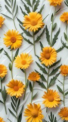 Obraz premium Multiple yellow daisies and green leaves arranged artistically