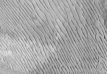 Black and white textures of striped oil paint strokes as abstract background for modern wallpaper or textured pattern and art print