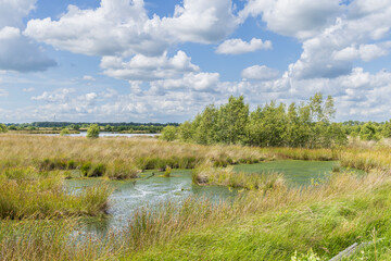 Landscape of nature park Fochteloerveen near Veenhuizen The Netherlands. One of the few areas in the Netherlands where living raised bogs still occur.