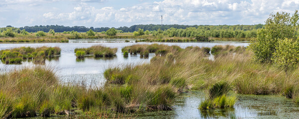 Landscape of nature park Fochteloerveen near Veenhuizen The Netherlands. One of the few areas in the Netherlands where living raised bogs still occur.