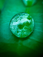 green planet earth