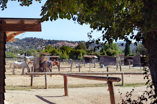 Riding club in Provence with a typical perched village in the background in southern France