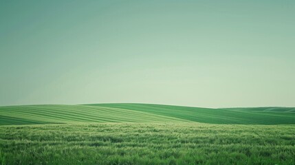 Obraz premium Minimalist desktop screensaver in agrarian style, light emerald color.
