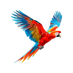 Fototapeta premium Bright red, yellow and blue parrot in flight. Isolated on transparent background.