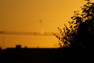 sunset over the city