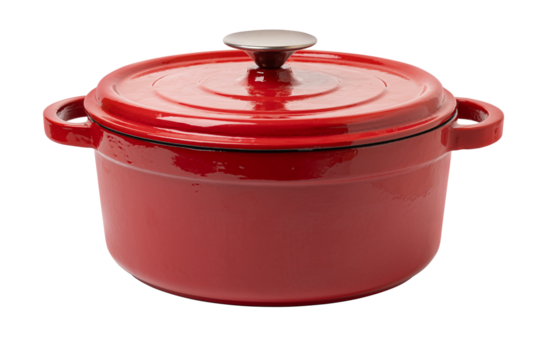 Stainless steel stewpot