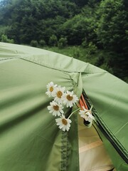 tent in the forest