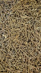 Close-Up View Of A Pile Of Golden Screws