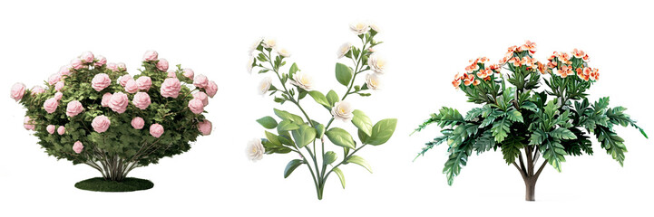 Obraz premium Collection 3d illustration of shrub with flowers isolated on white background