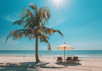 beautiful beach with palm trees and chairs, blue sky, sun shining on the white sand