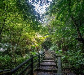 Obraz premium Hiking trails in the mountain forests surrounding Maokong, Wenshan District, Taipei, Taiwan