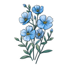 Bouquet of blue flax flowers with green stems and leaves on white background. Flowers are arranged in cluster, with some buds still closed.