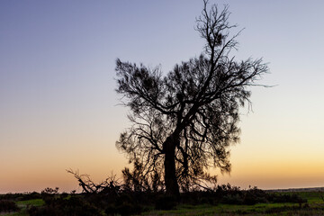 Swan Hill and soround rural Victoria, Australia