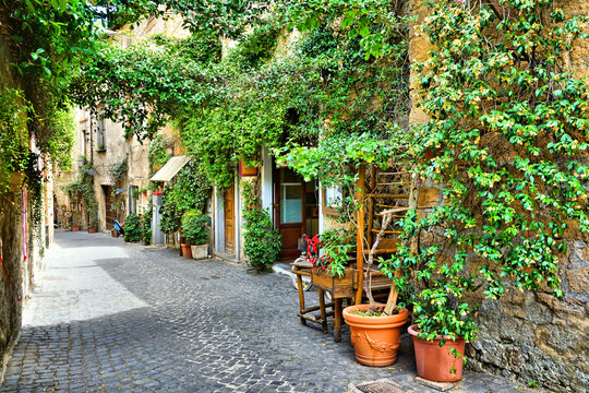 Fototapeta Beautiful leafy street in the medieval old town of Orvieto, Umbria, Italy