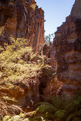 Gardens of Stone National Park, Central Tablelands,  New South Wales, Australia
