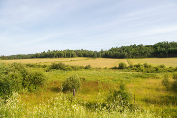 field and blue sky